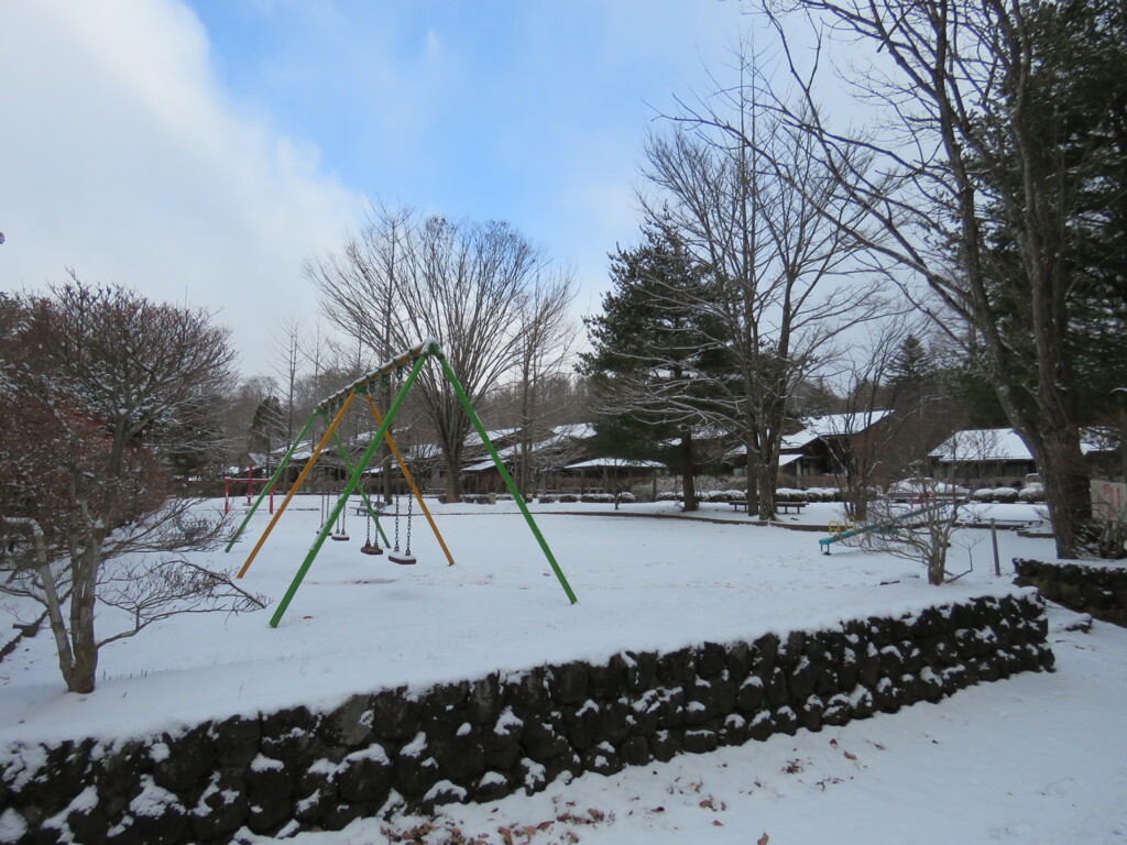 今朝の雪3