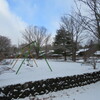 今朝の雪3