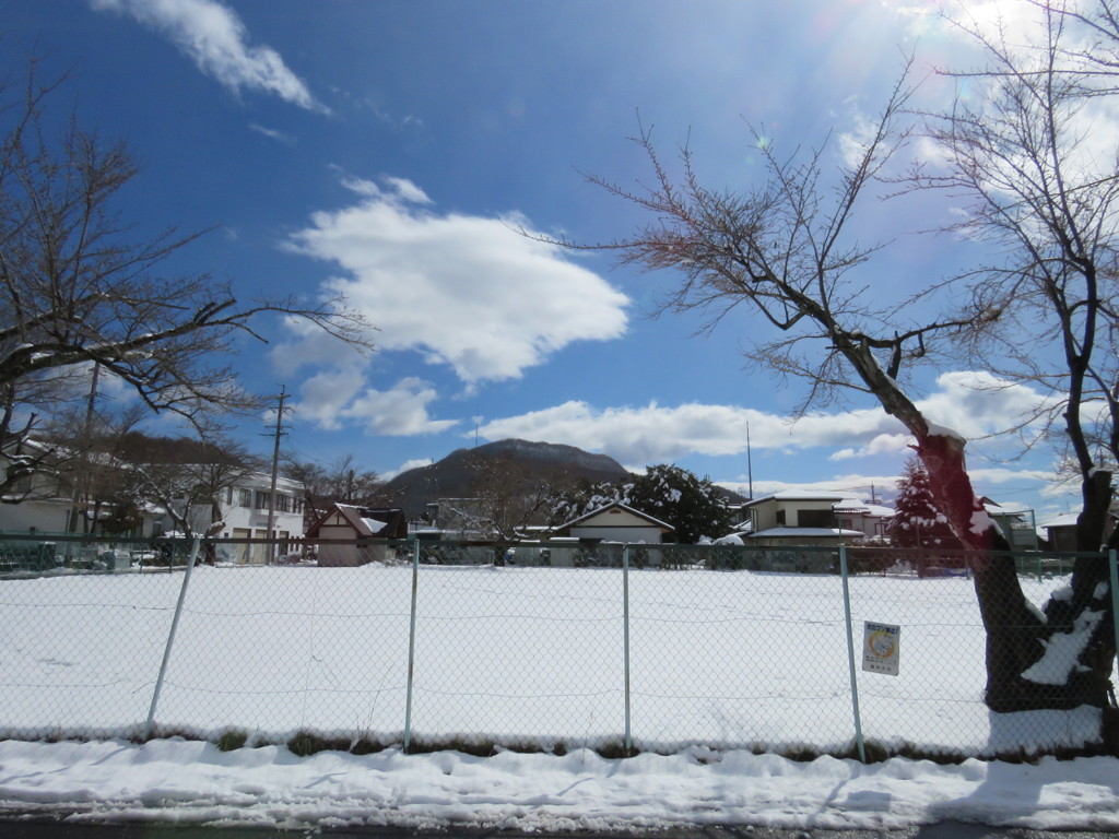 近所の公園から