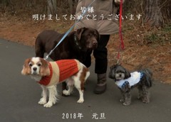 戌年のご挨拶