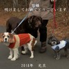 戌年のご挨拶