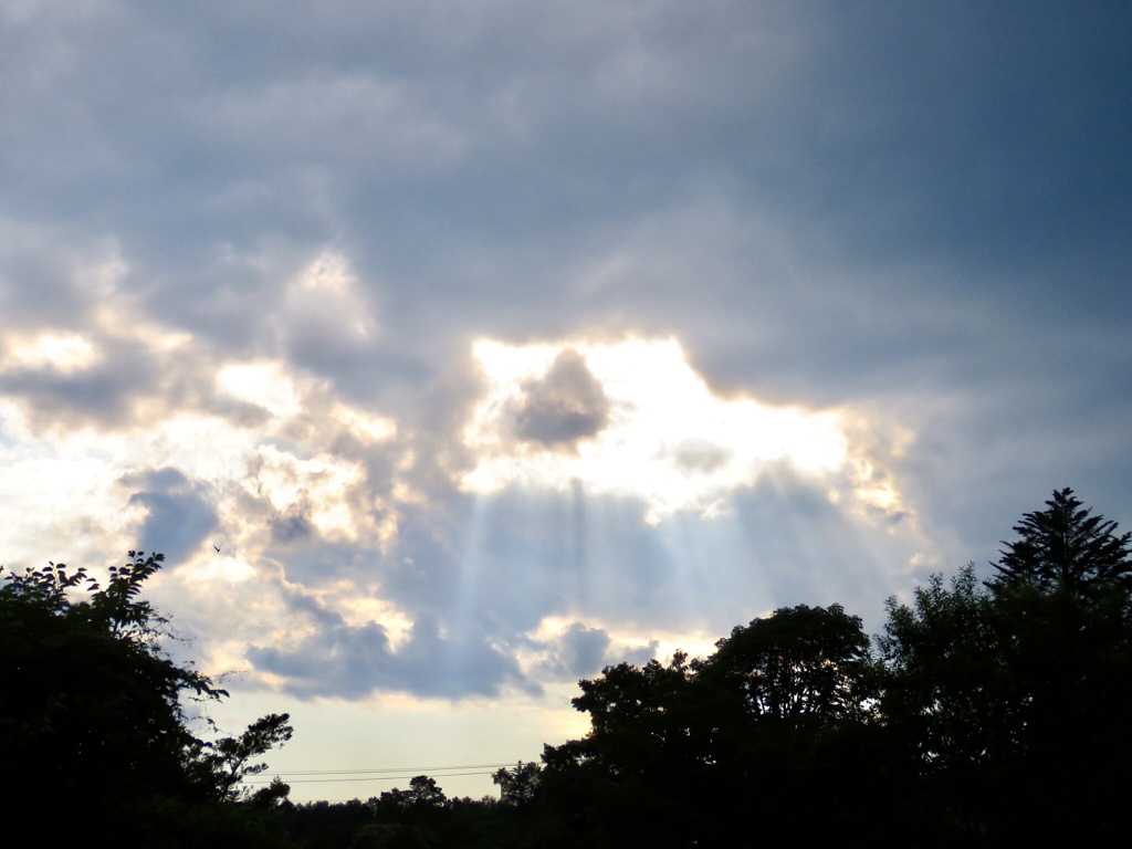 夕方の西空1