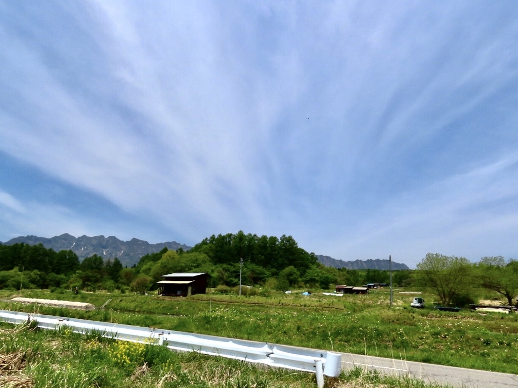 戸隠神社奥社へ1