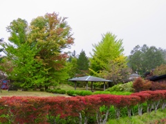 秋の公園