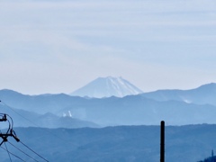富士山遠望