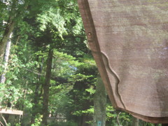 閲覧注意ー初ヘビ