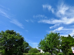 秋めく空