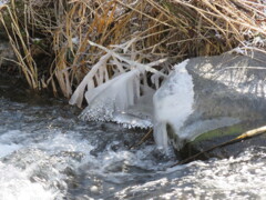 飛沫氷の造形9