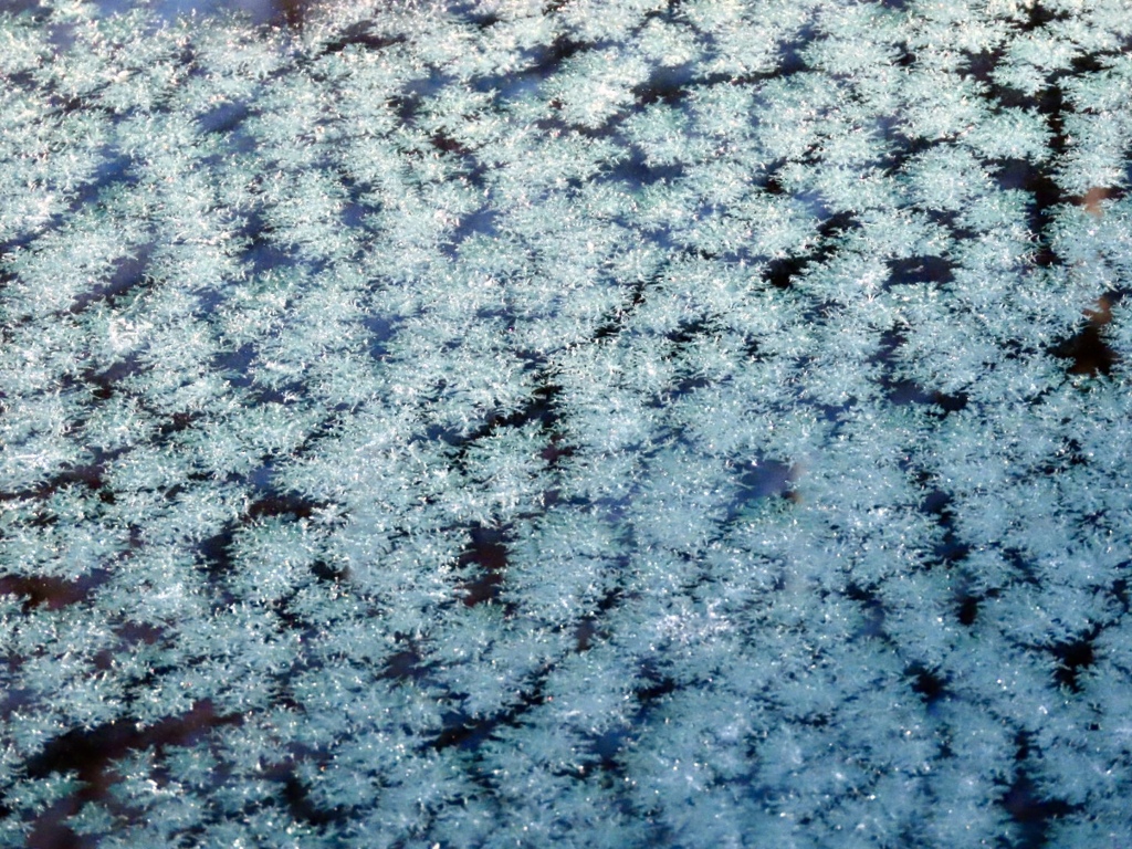 フロントガラスの氷