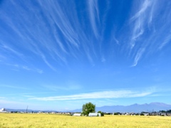 稲穂の上の空