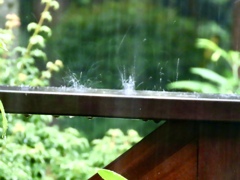 強い雨②
