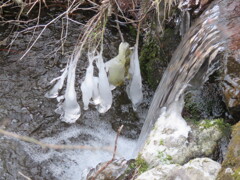 飛沫氷の造形4
