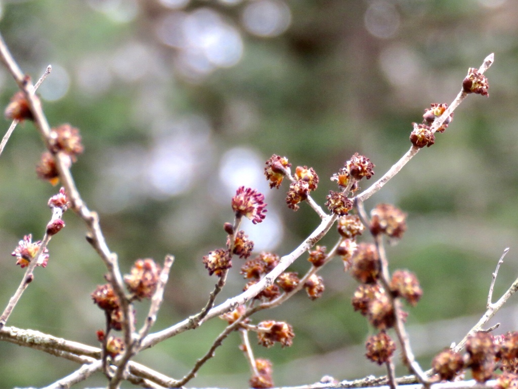 これなんだろう？