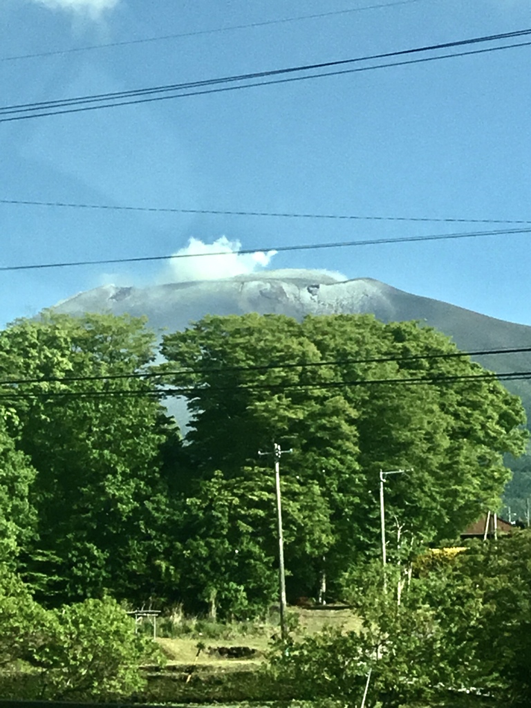 昨日の朝