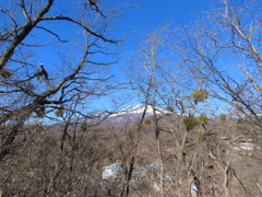 小高い別荘地の上から浅間山