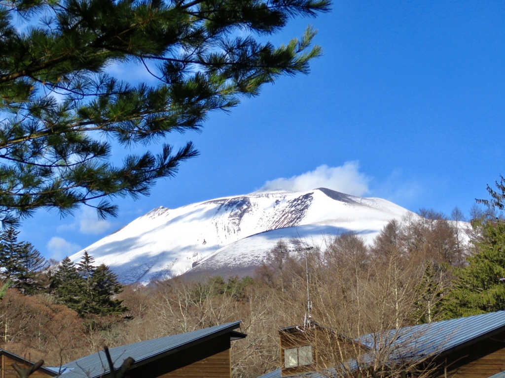 凛と聳える