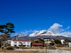 今日の浅間山4