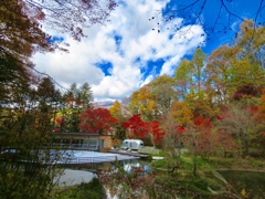 ケラ池の紅葉