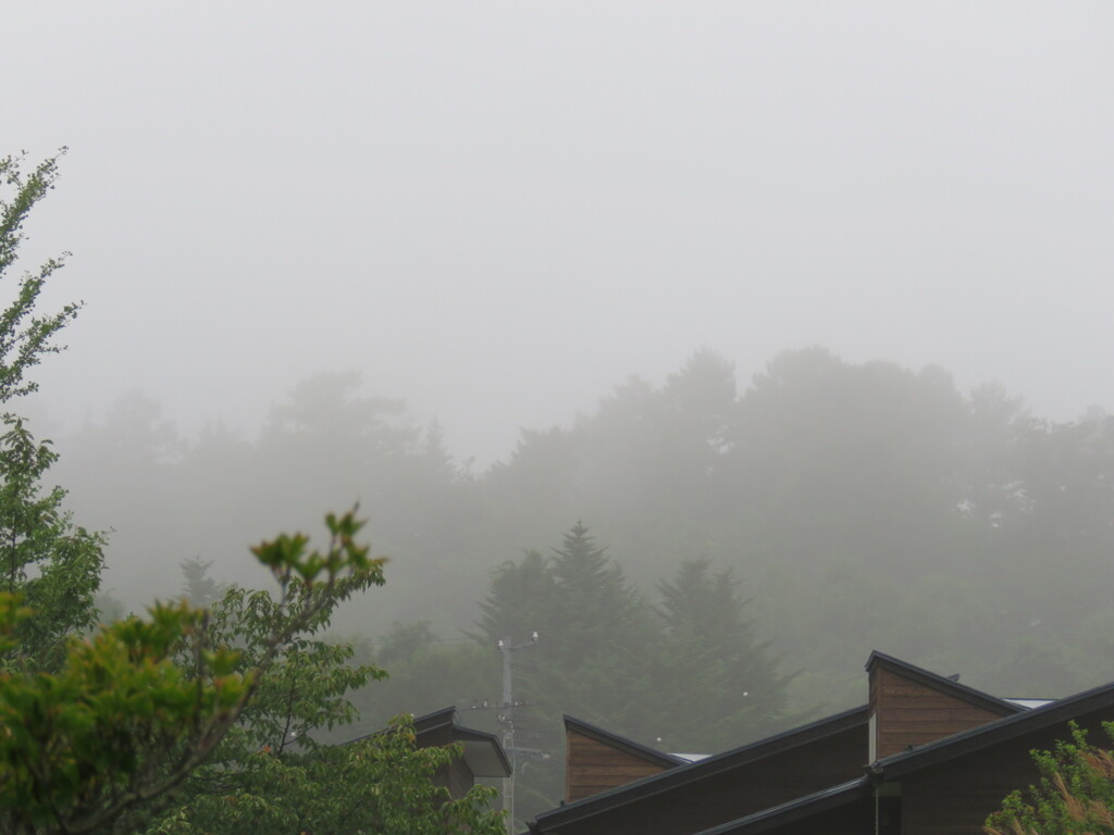 霧