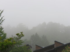 霧