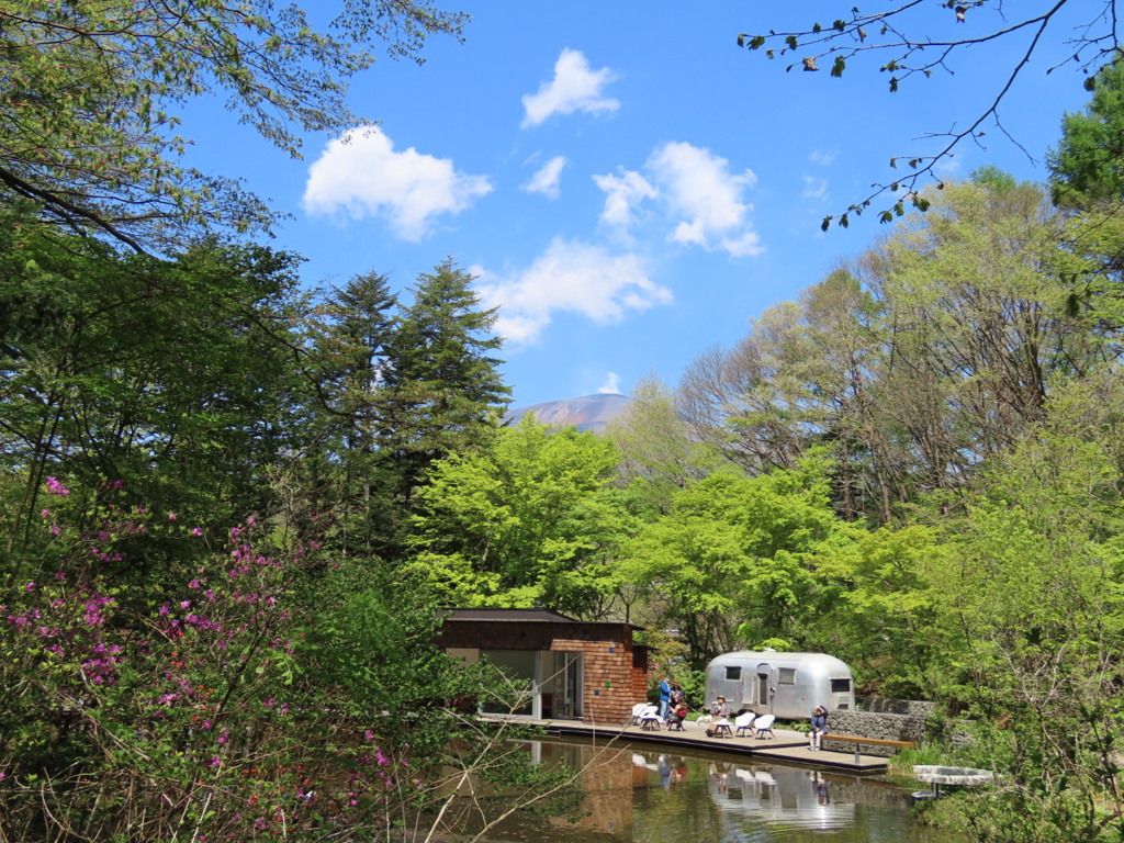 今朝のケラ池