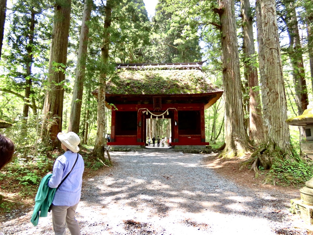 戸隠神社奥社へ5