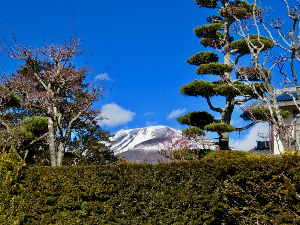 今日の浅間山8