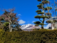 今日の浅間山8