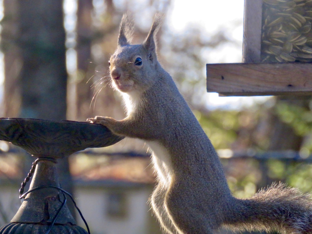 あれっ、ないの？
