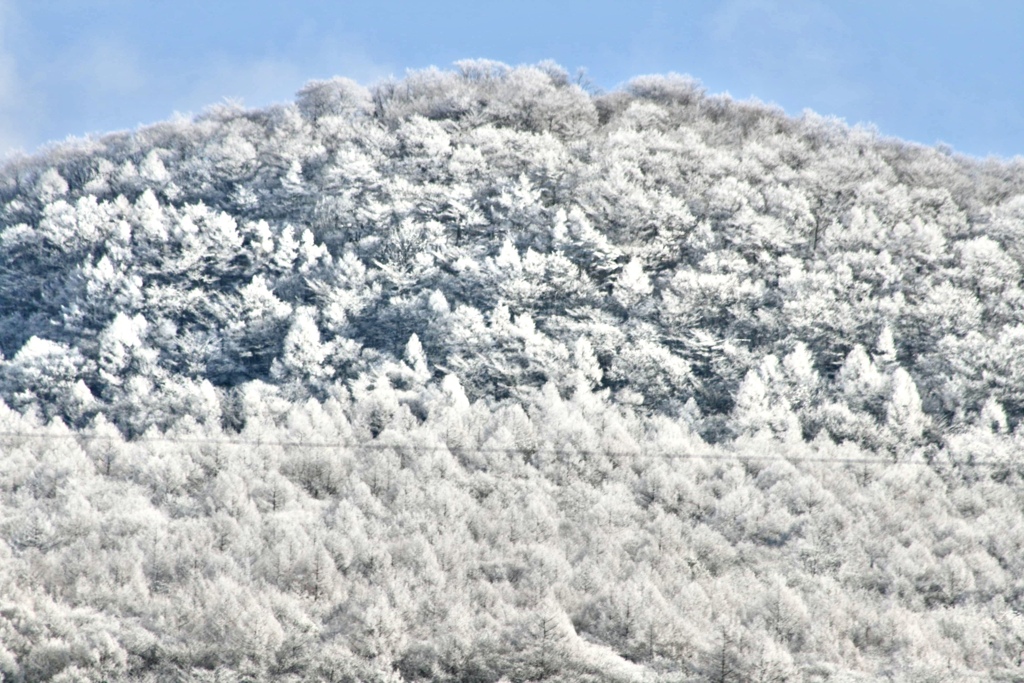 今朝の離山