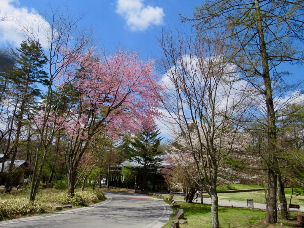 赤岩橋からトンボの湯