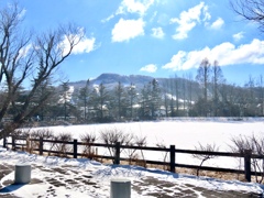 池の向こうには