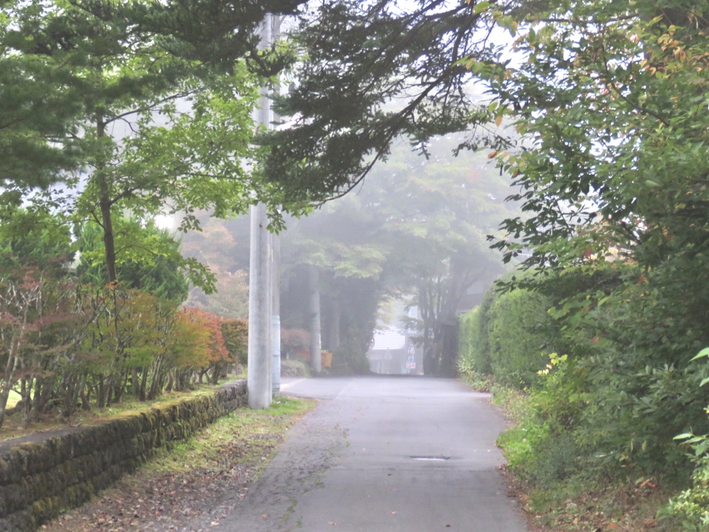 霧の散歩道