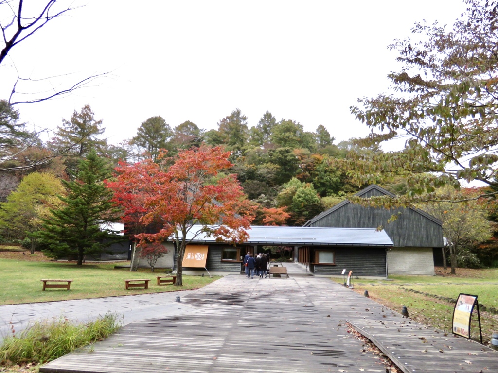 トンボの湯の紅葉