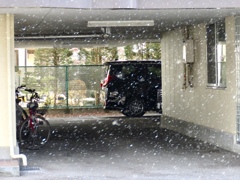 降り出した