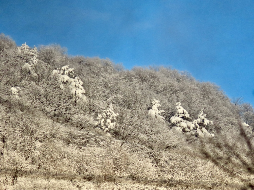 雪の後の離山1