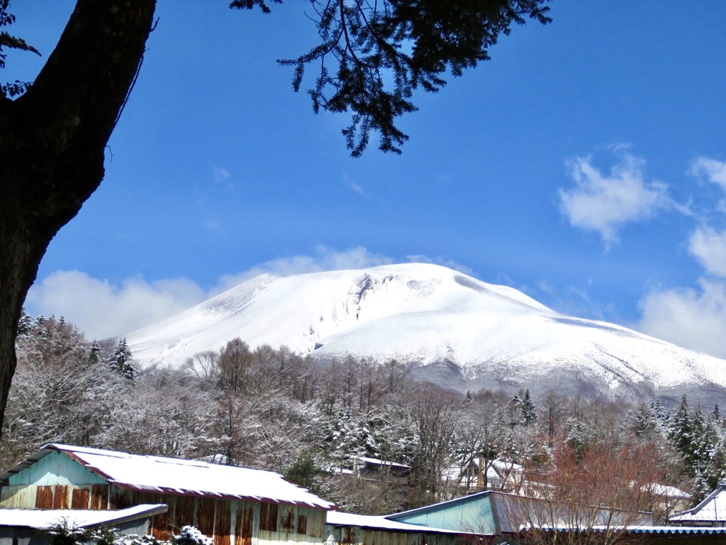 また真っ白