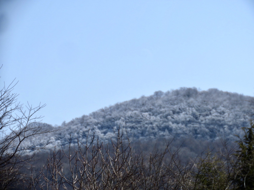 今朝の離山