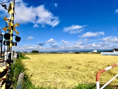 収穫の秋