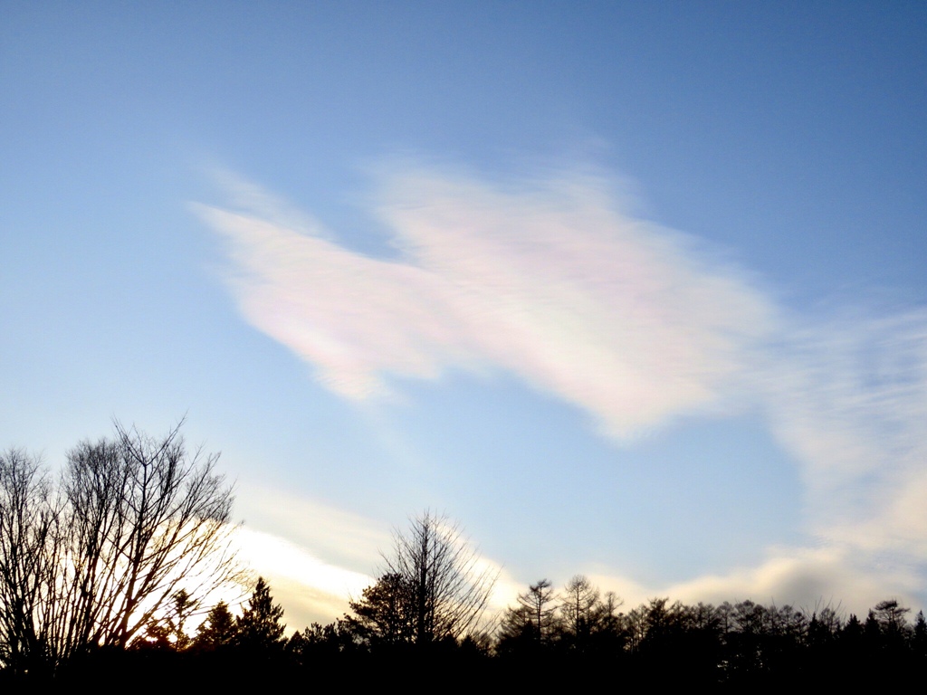 夕方の空