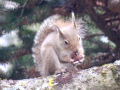 さあ、食べよっと さあ、食べよっと