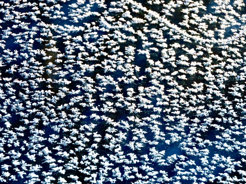 ボンネットの氷