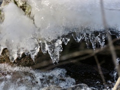 飛沫氷の造形8