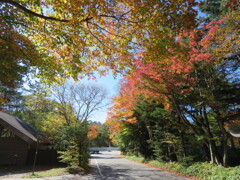 星野温泉入口の紅葉