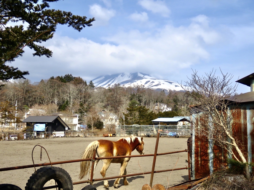 昨日の浅間山