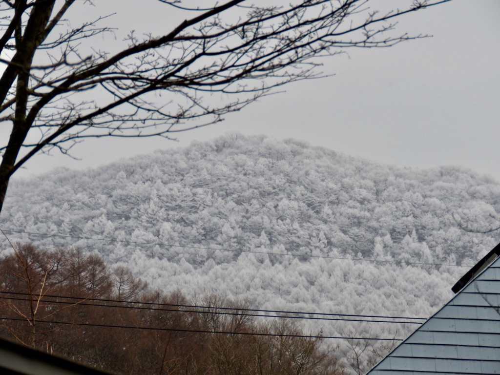 今日の離山