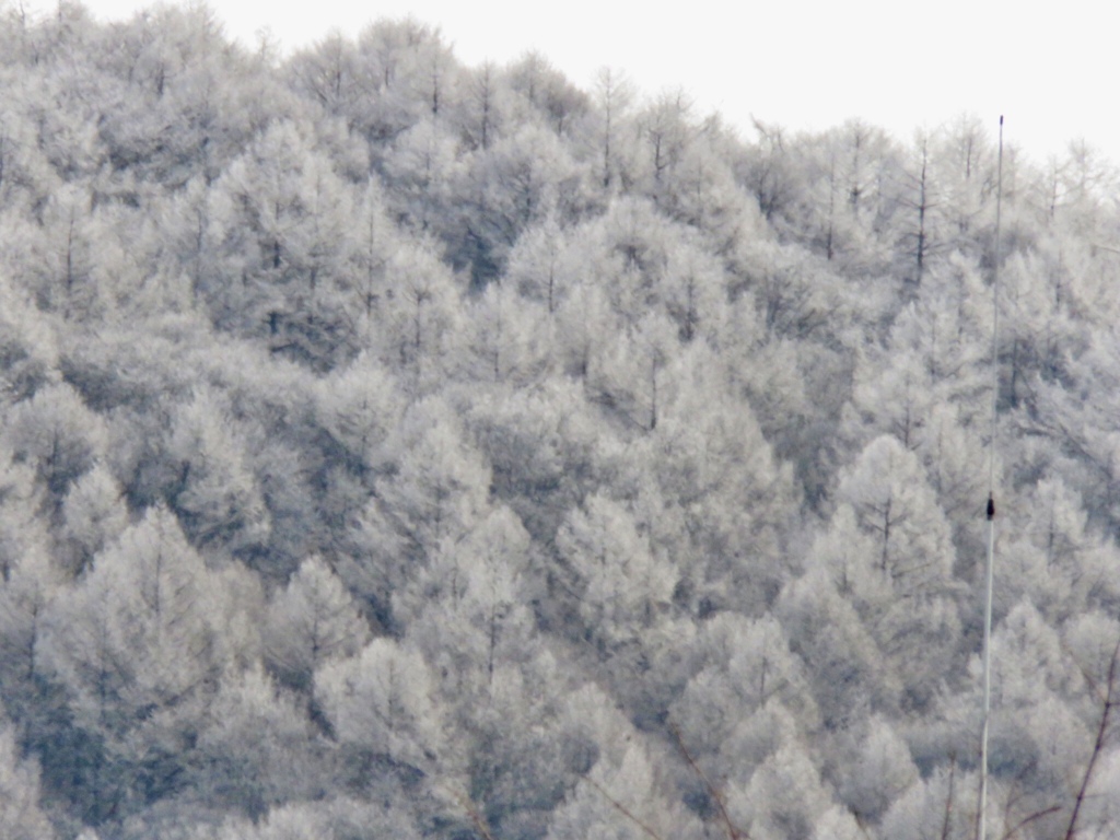 今日の離山2