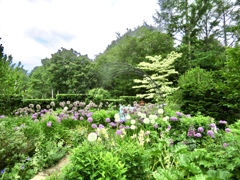 バラクライングリッシュガーデン8