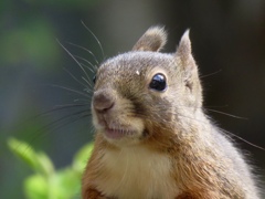 2年3ヶ月ぶりー9