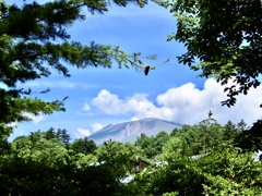 夏空の浅間山